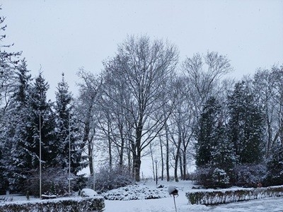grupa dzieci przedszkolnych podczas zabaw ruchowych na śniegu